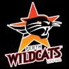 珀斯野猫logo